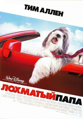Лохматый папа