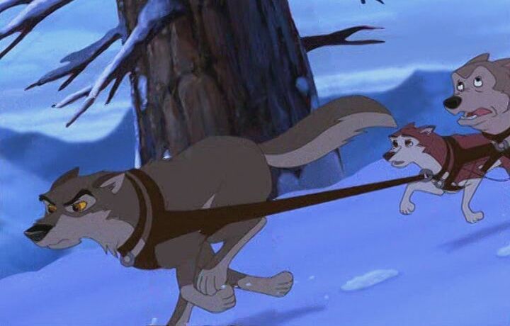 Кадр 5