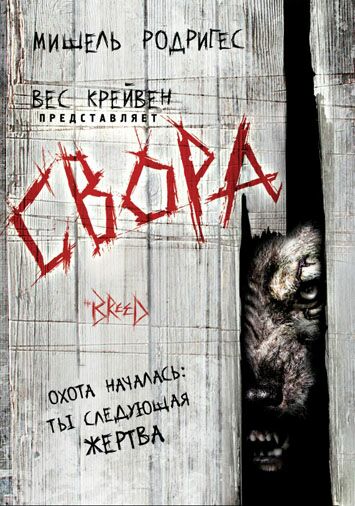 Свора