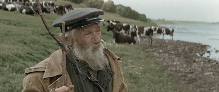 Кадр 1