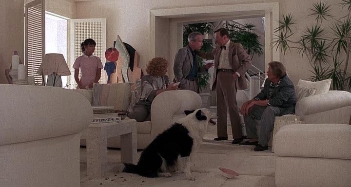 Кадр 5
