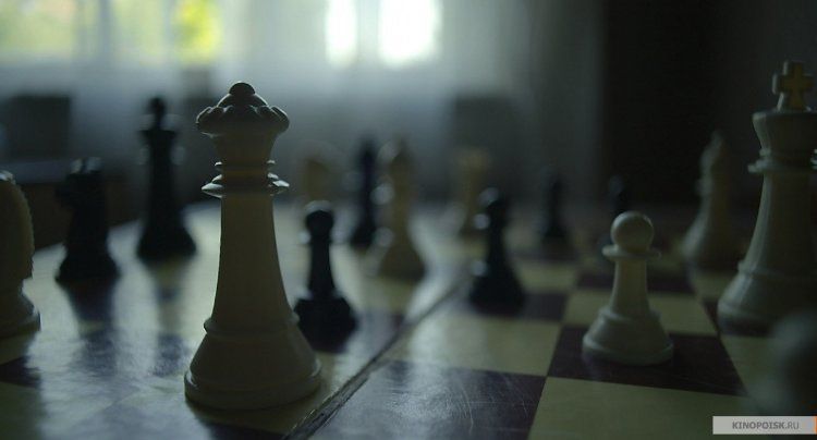 Кадр 1