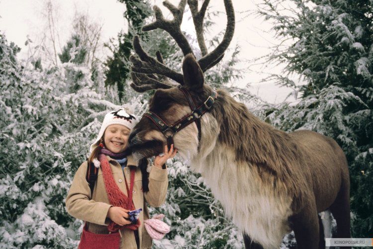 Кадр 1