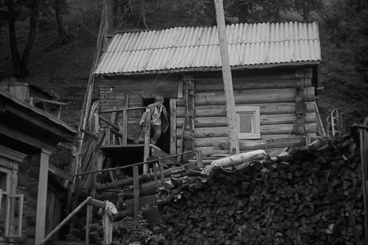 Кадр 5