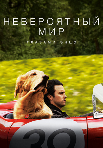Невероятный мир глазами Энцо